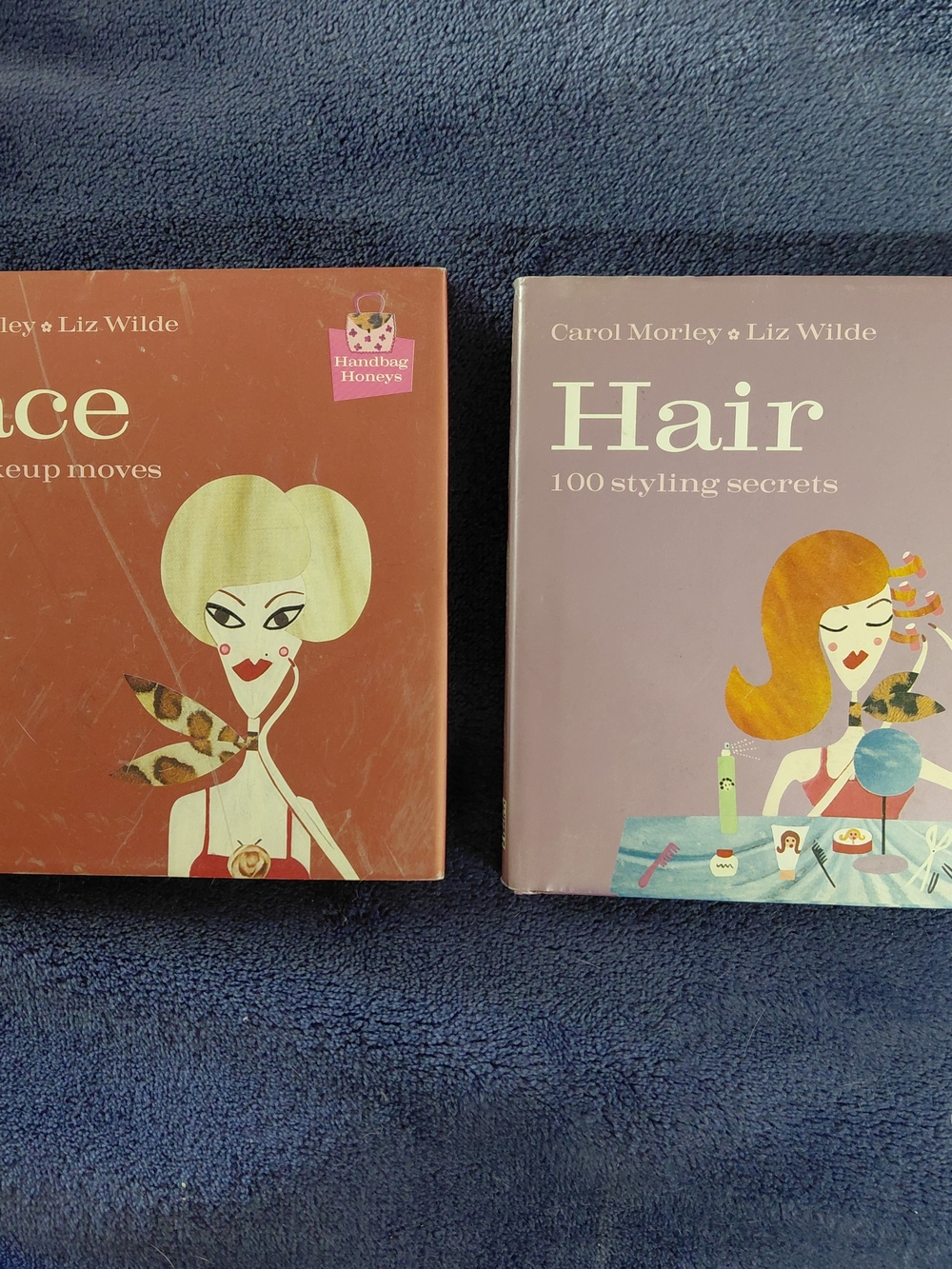 Handbag Honeys: 100 Pampering Tricks Face & Hair Books By Carol Morley Liz Wilde
